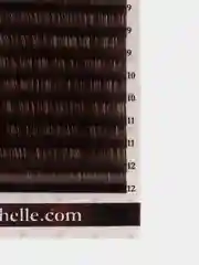 Ресницы Blondie ECHELLE MIX 0,10/L/ 5-12 mm (16 линий)