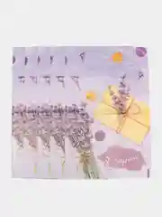 Коралловый пакет подарочный, полиэтиленовый с вырубной ручкой, 20х30 см, 30 мкм