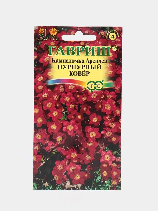 Камнеломка Пурпурный ковер (семена,цветы)
