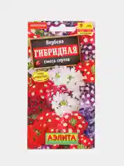 Вербена, цветы, семена