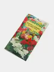 Бегония Хип хоп (семена,цветы)
