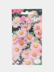 Эригерон Розовый лотос (семена,цветы)