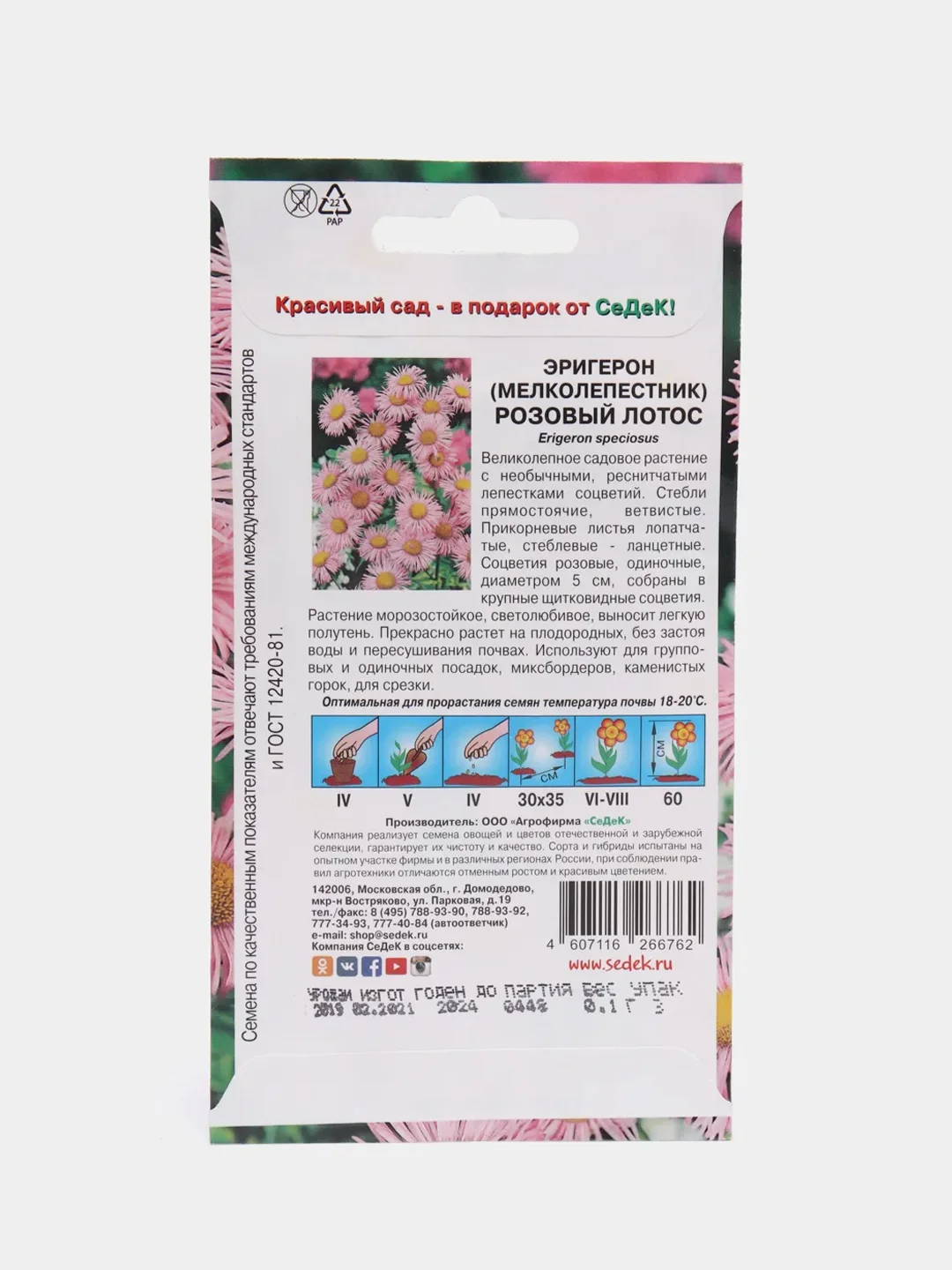 Эригерон Розовый лотос (семена,цветы)