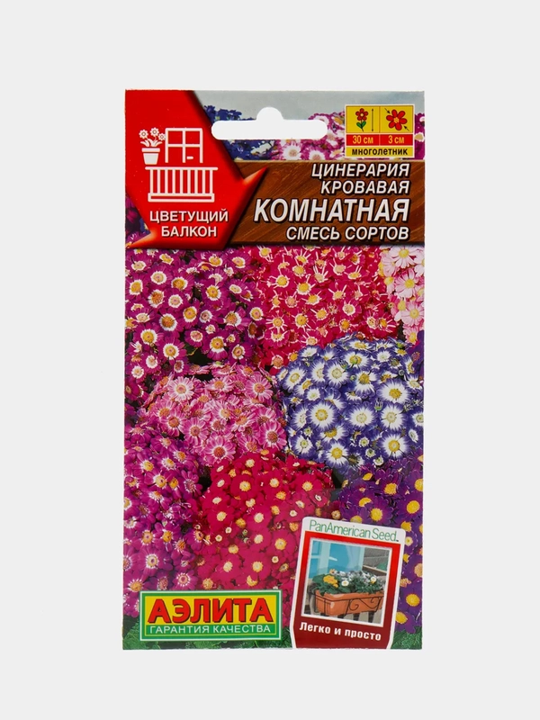 Цинерария комнатная (семена,цветы)