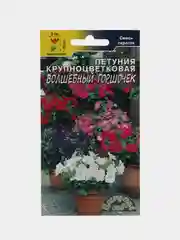 Петуния Волшебный горшочек (семена, цветы)