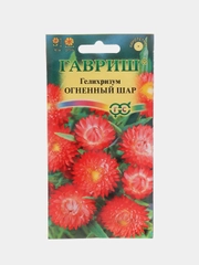 Гелихризум Огненный шар, семена, цветы