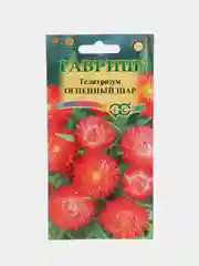 Гелихризум Огненный шар, семена, цветы