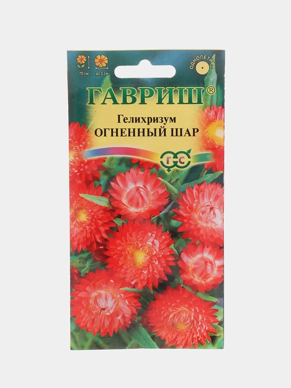 Гелихризум Огненный шар, семена, цветы