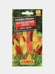 Книфофия Африканский гость, семена, цветы
