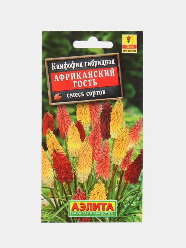 Книфофия Африканский гость, семена, цветы