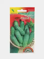 Огурец Маша, семена
