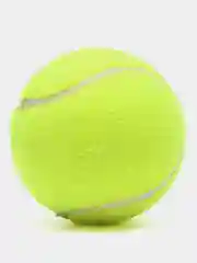 Мячи для большого тенниса PEEN COACN