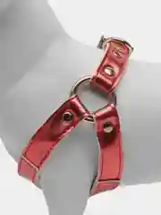 Красный шлейка с поводком для собак и кошек