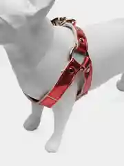 Красный шлейка с поводком для собак и кошек