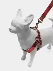 Красный шлейка с поводком для собак и кошек