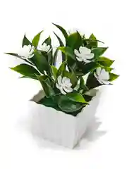 Белый искусственный цветок в горшке, 14 см