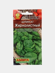Шпинат жирнолистный