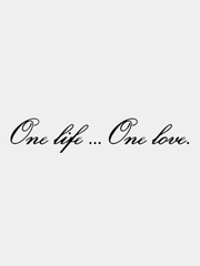 Наклейка на авто / машину / стекло "One Life... One Love - Одна жизнь, одна любовь" 40х7см