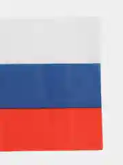 Флаг России, 14 х 21 см, шток 30 см, полиэфирный шёлк