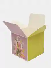 Тёмно-зелёный подарочная коробка