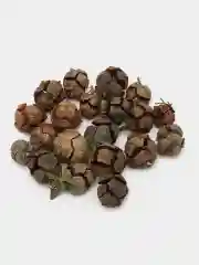 Шишки кипариса для творчества, рукоделия, флористики