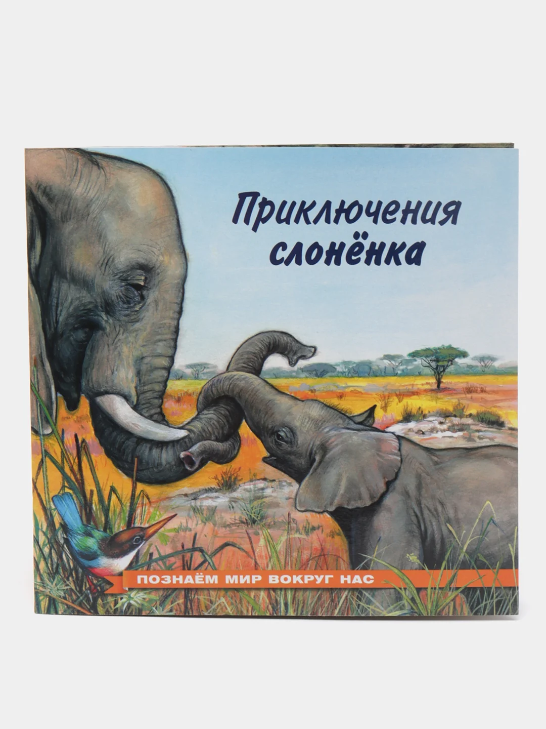 Серый книга детская Приключения зверей, 12 видов