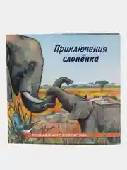 Серый книга детская Приключения зверей, 12 видов
