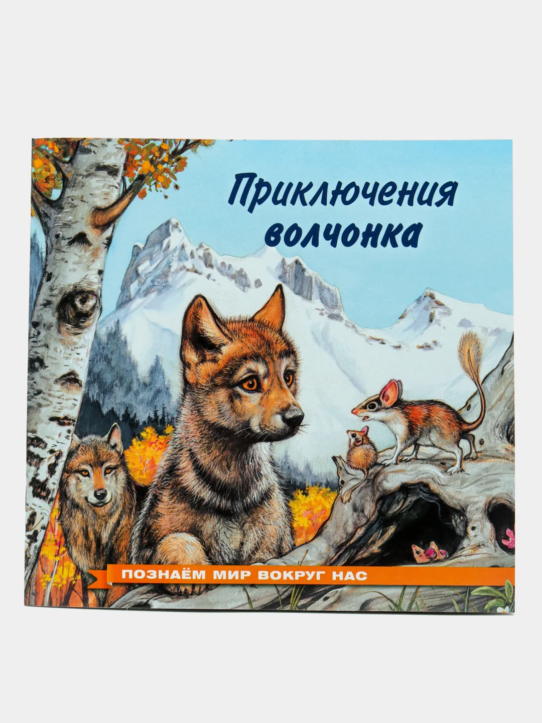 Оранжевый книга детская Приключения зверей, 12 видов