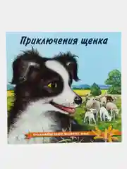 Черный книга детская Приключения зверей, 12 видов