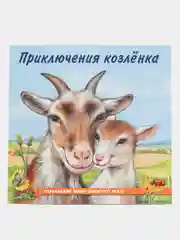 Золотой книга детская Приключения зверей, 12 видов