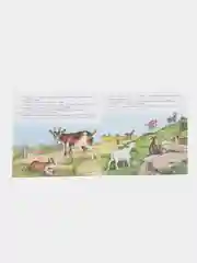 Золотой книга детская Приключения зверей, 12 видов