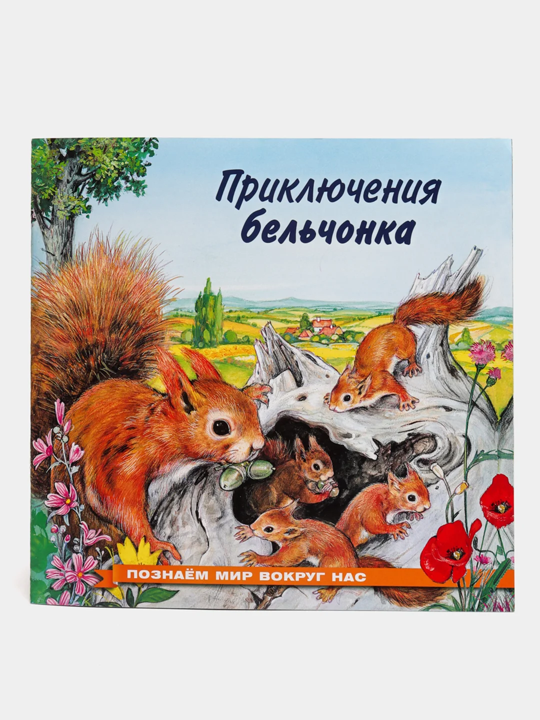 Рыжий книга детская Приключения зверей, 12 видов