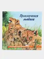 Бежевый книга детская Приключения зверей, 12 видов