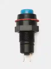 Кнопка DS-211 2A/250VA