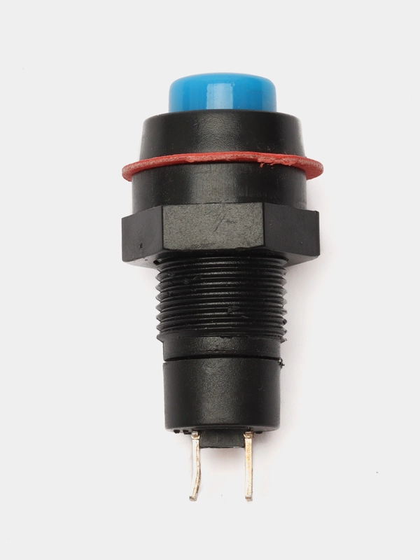 Кнопка DS-211 2A/250VA