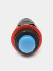 Кнопка DS-211 2A/250VA