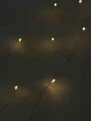 Светодиодная гирлянда на батарейках и для украшения интерьера 3 метра LED