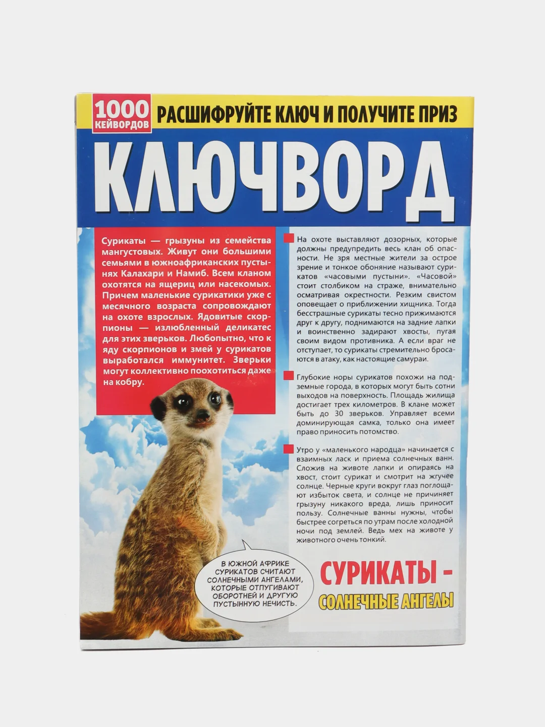 Сборник ключвордов "Ключворд", 82 страницы