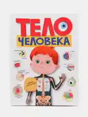 Книга детская картонная с окошками "Тело человека" 225х300 мм. 10 стр. Проф-Пресс