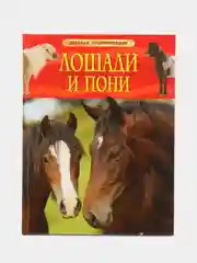 Красный детская энциклопедия