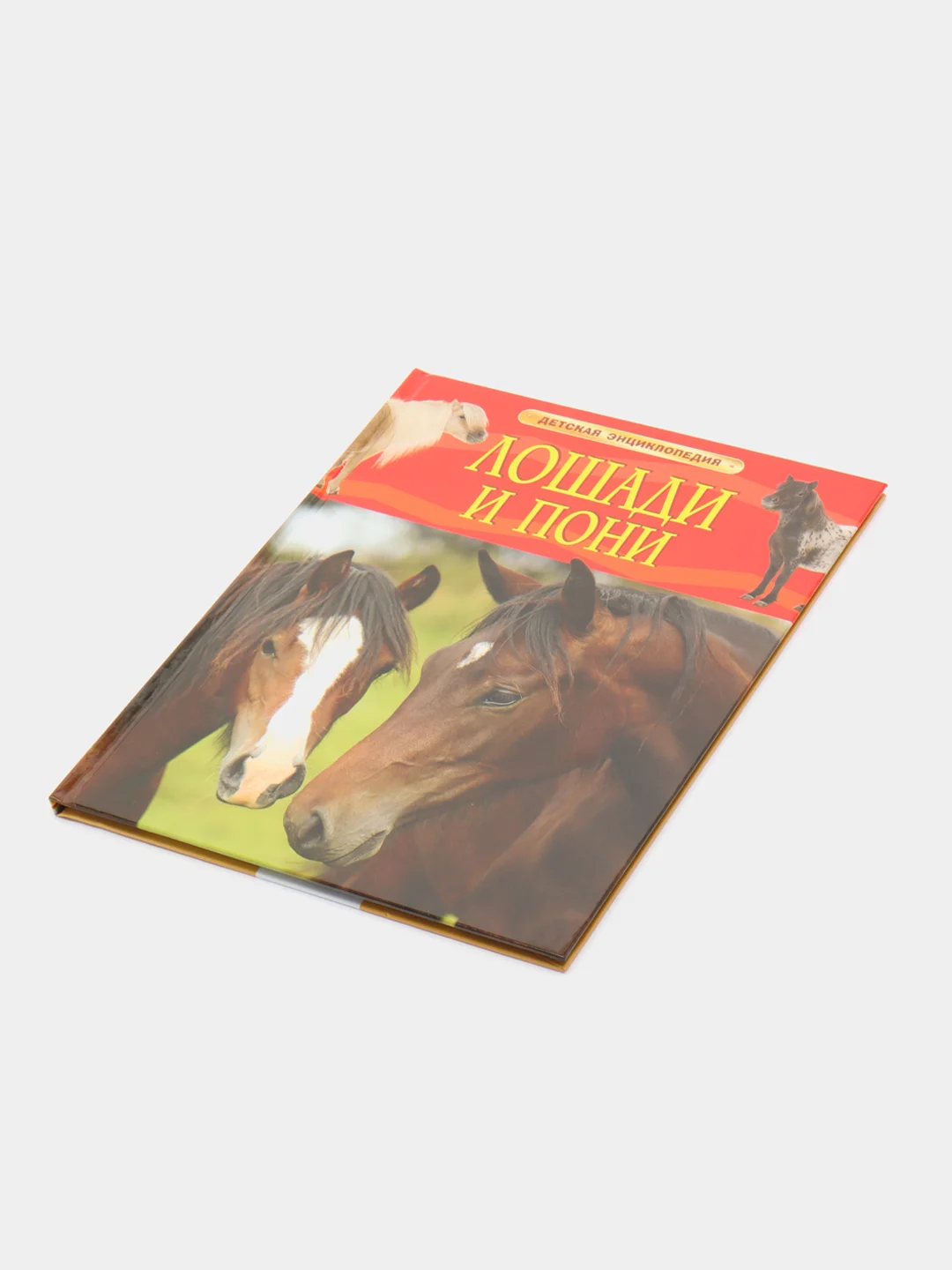 Красный детская энциклопедия