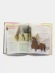 Красный детская энциклопедия