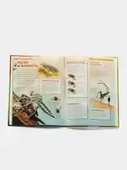 Бежевый меланж детская энциклопедия