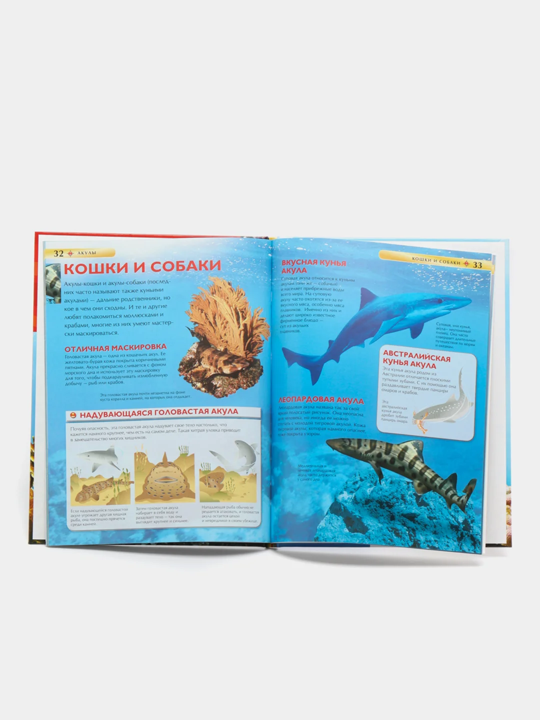 Горчичный детская энциклопедия
