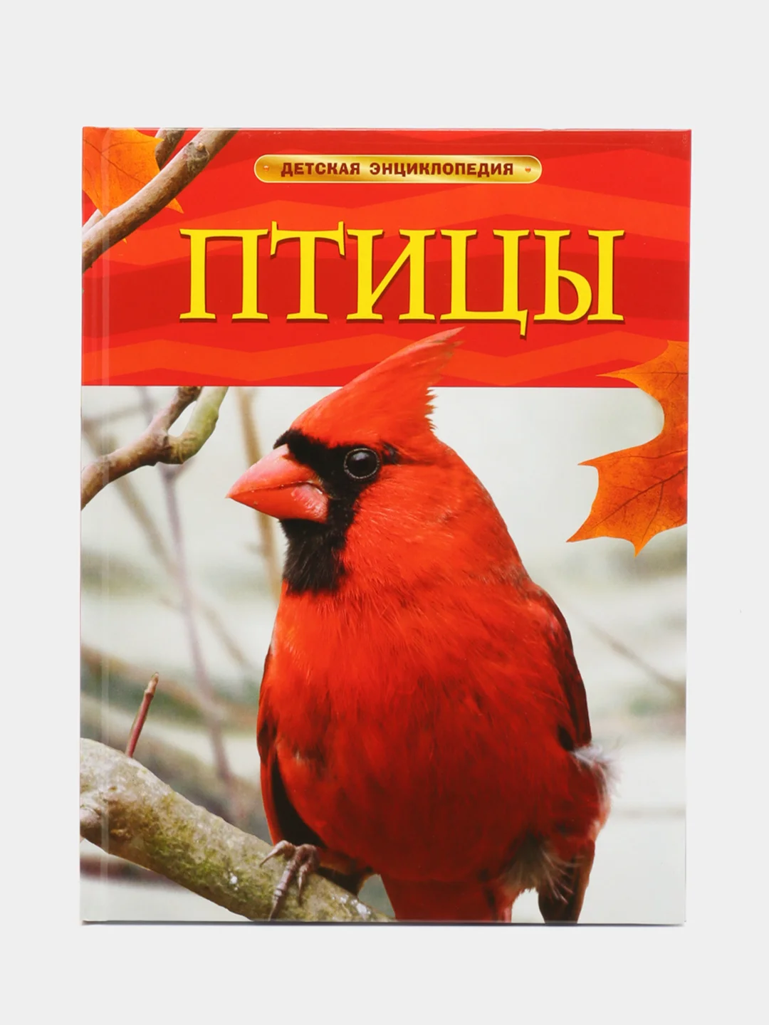 Коралловый меланж детская энциклопедия