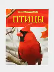 Коралловый меланж детская энциклопедия