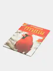 Коралловый меланж детская энциклопедия