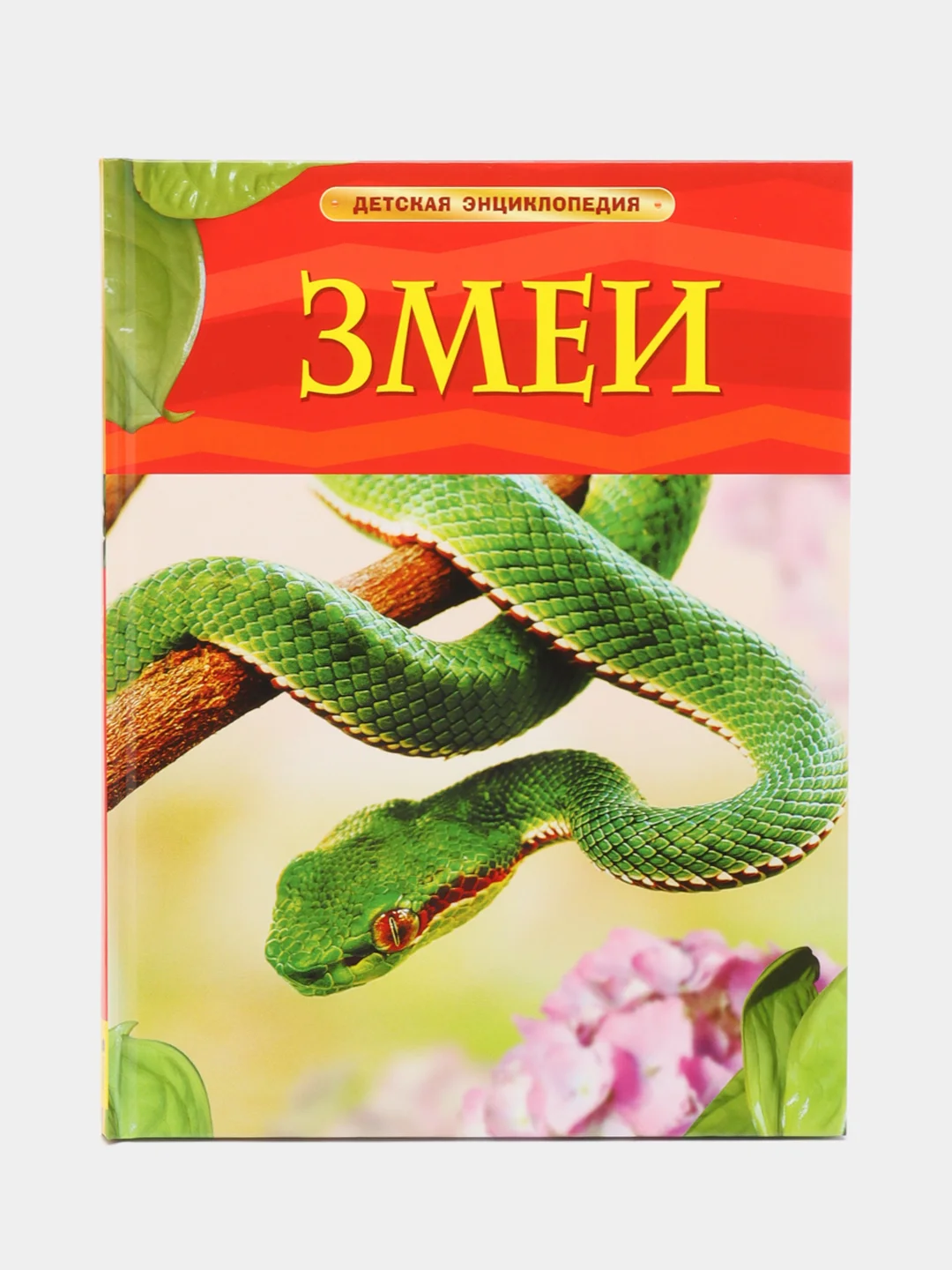 Зелёный хаки детская энциклопедия