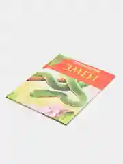 Зелёный хаки детская энциклопедия