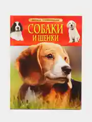 Конфетный детская энциклопедия
